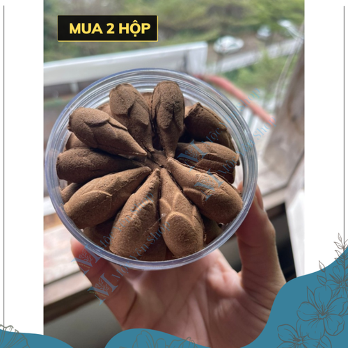 Hộp 20 Nụ Trầm Hương Hình Búp Sen Tỏa Khói Ngược – Nụ Trầm Cao Cấp Xông Nhà Thơm Phòng, Thanh Lọc Không Khí, An Toàn Sức Khỏe
