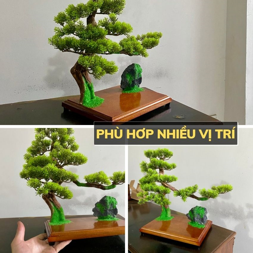 Bộ Tiểu Cảnh Bonsai Để Bàn Trang Trí Cao Cấp – Kệ Gỗ Đèn Led Hào Quang Đặt Tượng Phật Phong Thủy