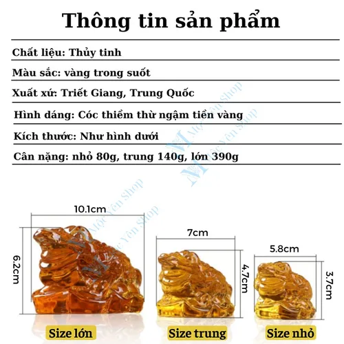 Cóc Ngậm Tiền Vàng 3 Chân Bằng Thủy Tinh – Thiềm Thừ Phong Thủy Chiêu Tài Giữ Lộc