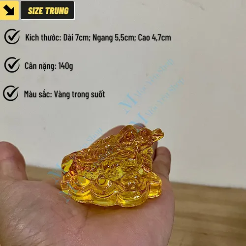 Cóc Ngậm Tiền Vàng 3 Chân Bằng Thủy Tinh – Thiềm Thừ Phong Thủy Chiêu Tài Giữ Lộc