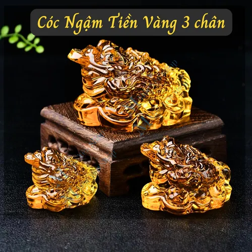 Cóc Ngậm Tiền Vàng 3 Chân Bằng Thủy Tinh – Thiềm Thừ Phong Thủy Chiêu Tài Giữ Lộc