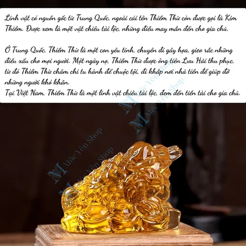 Cóc Ngậm Tiền Vàng 3 Chân Bằng Thủy Tinh – Thiềm Thừ Phong Thủy Chiêu Tài Giữ Lộc