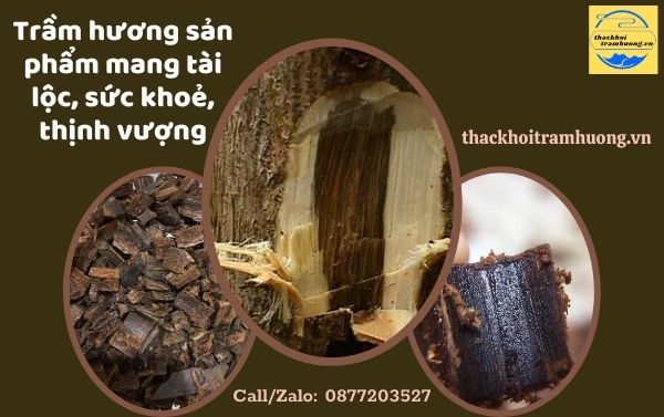 trầm hương là gì? trầm hương là gì?