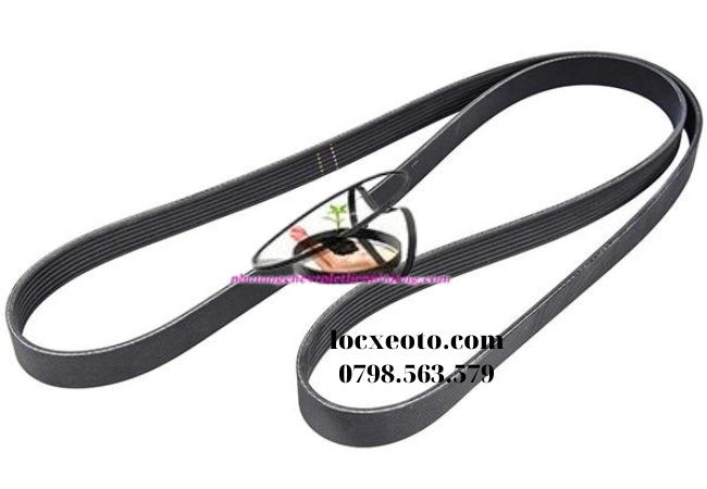 dây curoa tổng accrod dây curoa tổng accrod