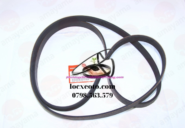 dây curoa tổng accrod dây curoa tổng accrod