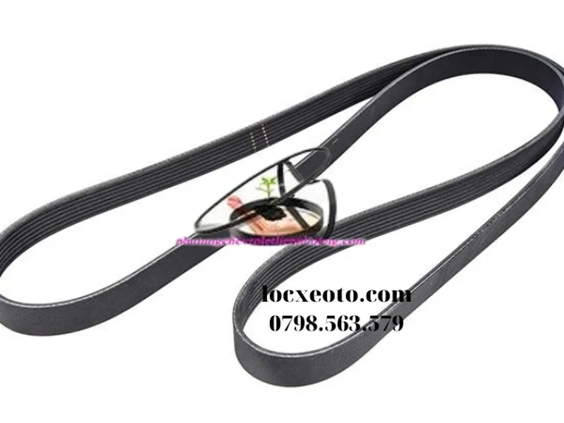 Dây curoa tổng accord