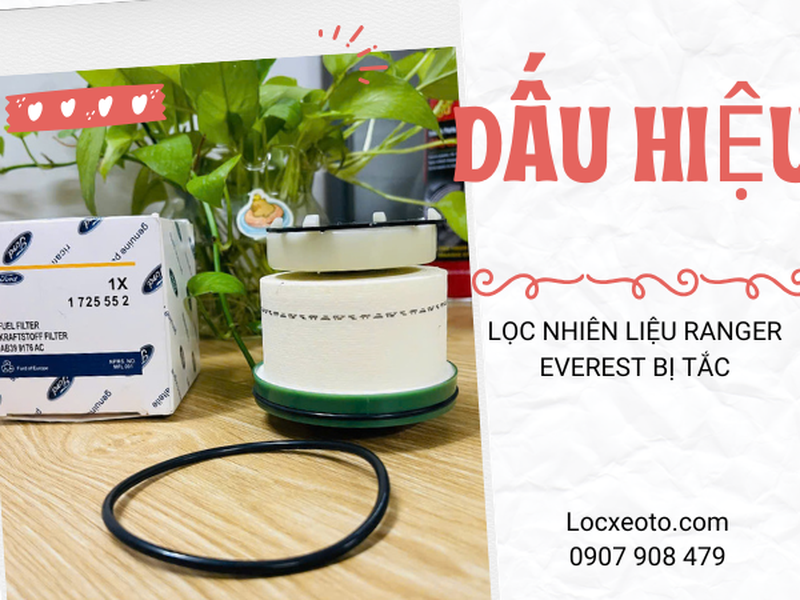 Dấu hiệu nhận biết lọc nhiên liệu Ford Ranger, Everest bị tắc và chi phí thay thế