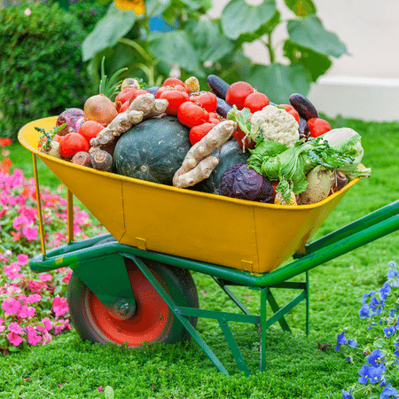 CUNG CẤP RAU HỮU CƠ SẠCH CHO CHUNG CƯ