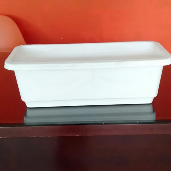 CHẬU LANG CANG TRẮNG