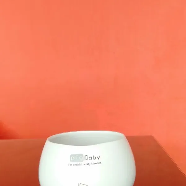 CHẬU TRỒNG - MẪU 1