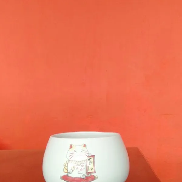 CHẬU TRỒNG - MẪU 1