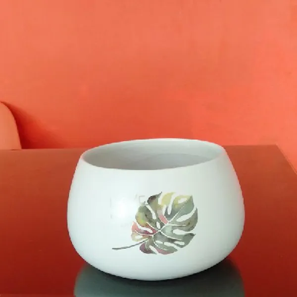 CHẬU TRỒNG - MẪU 1