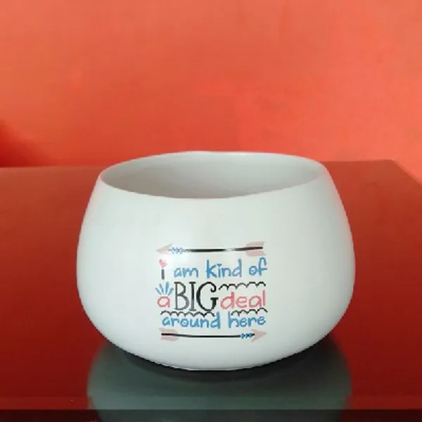 CHẬU TRỒNG - MẪU 1