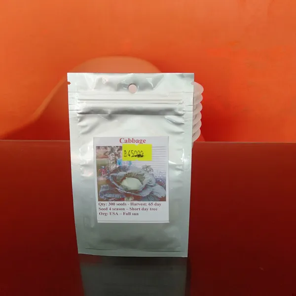 BẮP CẢI KHỔNG LỒ