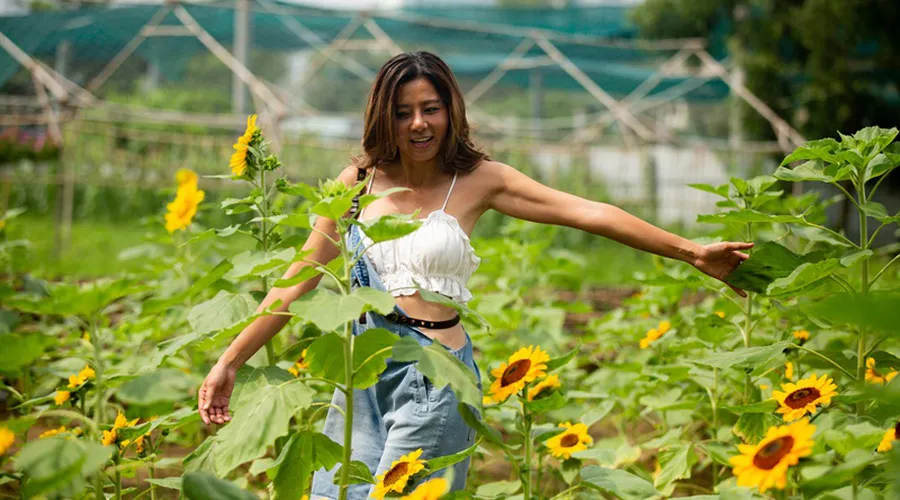 Các bạn sẽ đi đâu vào dịp Noel và Tết Tây này?