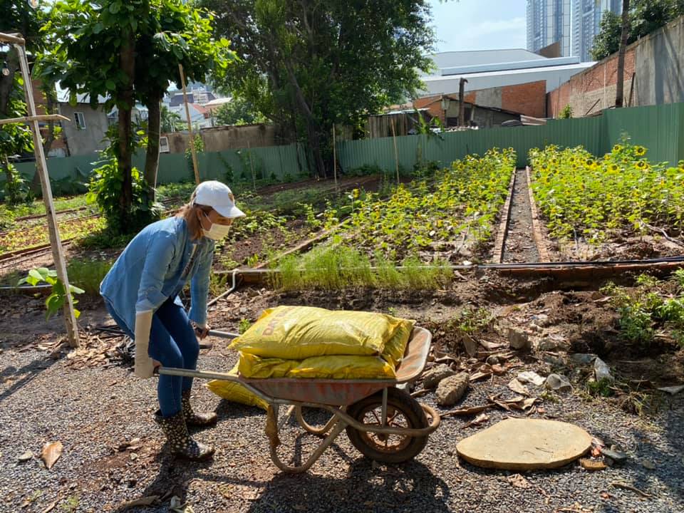 Vườn Hoa Thảo Điền mang đến cho bạn những hạt giống, cây giống khỏe mạnh Vườn Hoa Thảo Điền mang đến cho bạn những hạt giống, cây giống khỏe mạnh