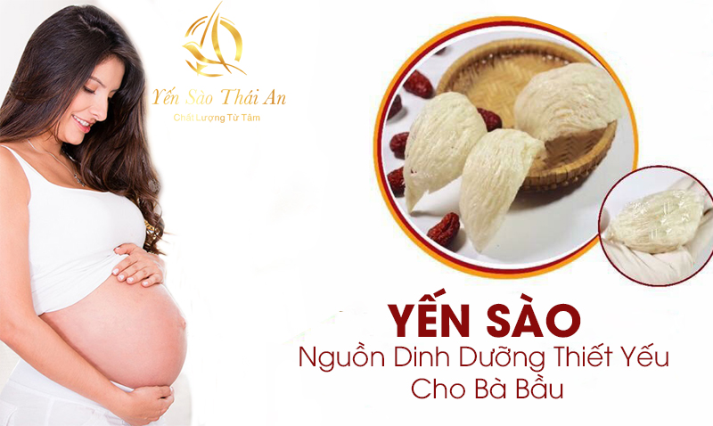 Câu Hỏi Thường Gặp Khi Bà Bầu Sử Dụng Tổ Yến