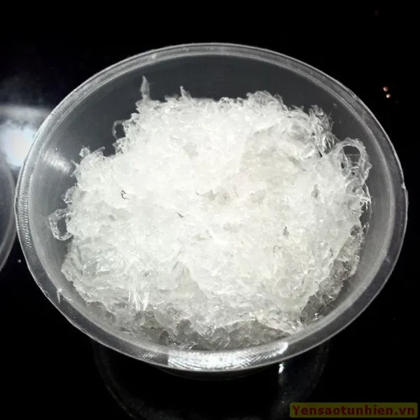 YẾN TƯƠI NGUYÊN TỔ