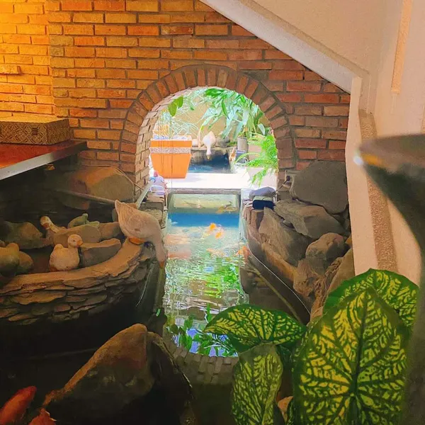 STUDIO - CACH MANG THANG 8 STREET | 40 M2 | WINDOWS