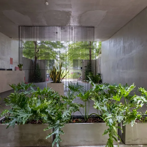 The Secret Superior Studio | Binh An, District 2 | Fully Furnished