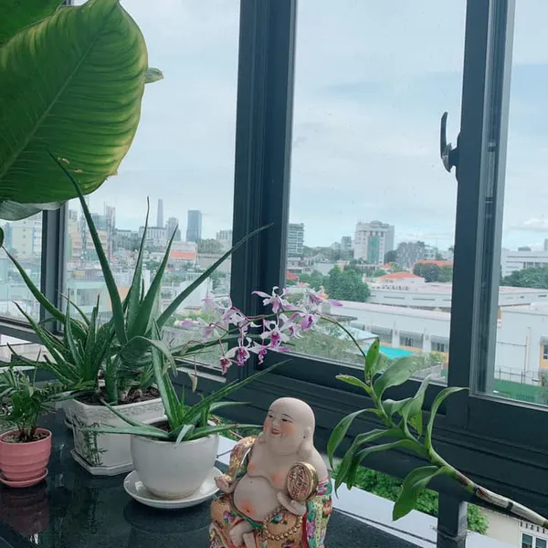 Nice Service Apartment with fully furnished at Ly Chinh Thang street, district 3