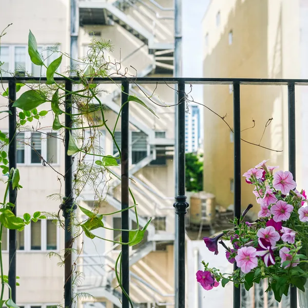 NEW ! Indochine Style Studio at the City center | High Floor |  Balcony 