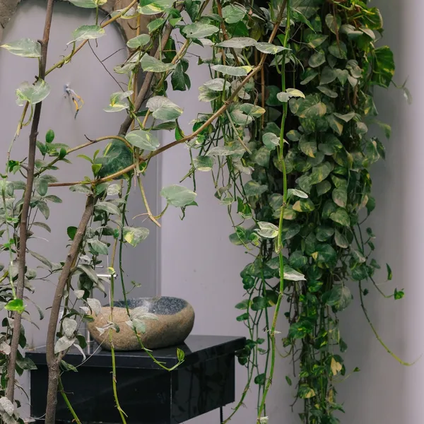 Studio in Village | District 1 | 28m2 