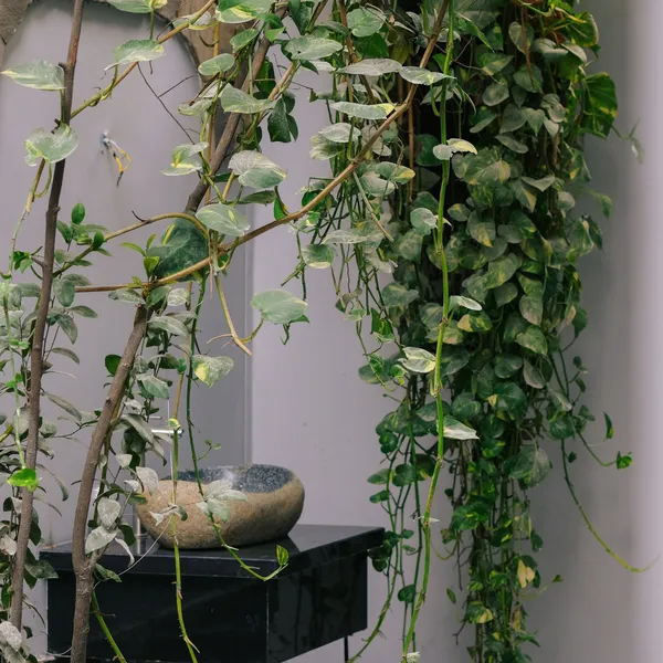 Studio in Village | District 1 | 28m2 