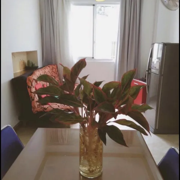 2-Bedroom Apartment 70m2  | Near Le Van Tam Park | District 1