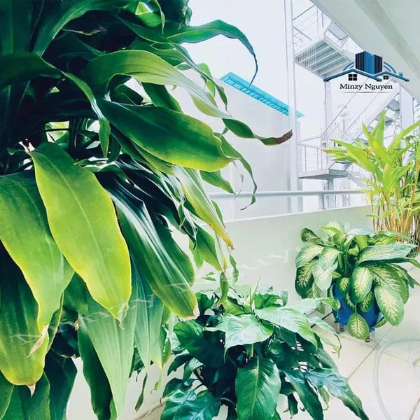 2-Bedroom Apartment | Thao Dien | Pool & Gym