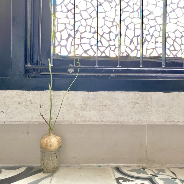 Vintage Apartment in Binh Thanh 