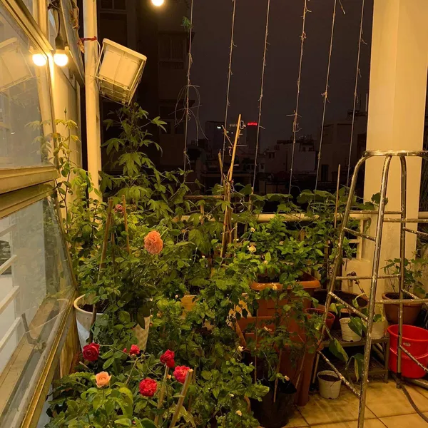 APARTMENT ON THE TOP FLOOR | BINH THANH | 100M2 