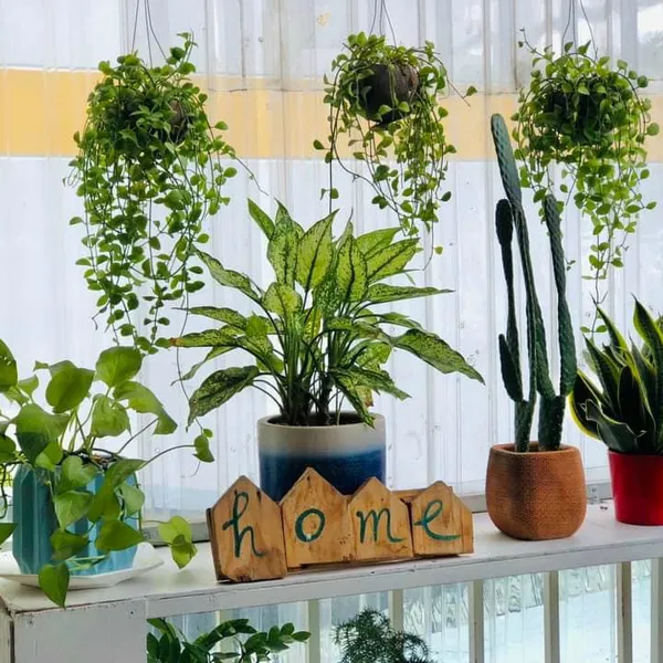 2-bedroom with private terrace, balcony in Thao Dien area | 80m2❤️