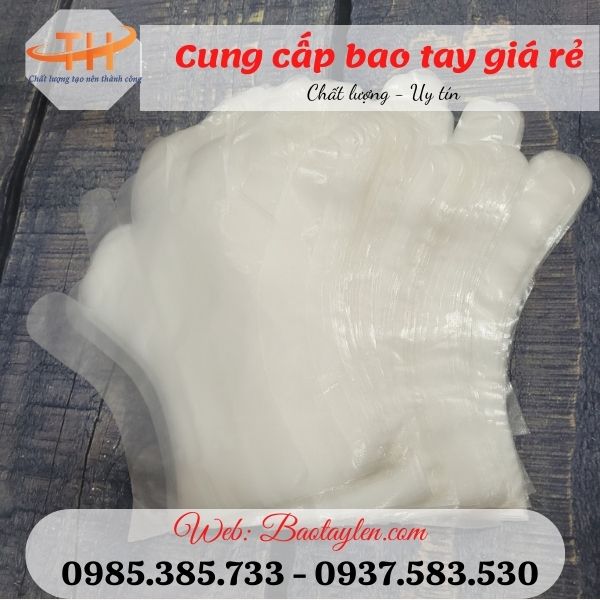 >>Địa chỉ bán bao tay nilon giá rẻ chất lượng tại TpHCM. >>Địa chỉ bán bao tay nilon giá rẻ chất lượng tại TpHCM.