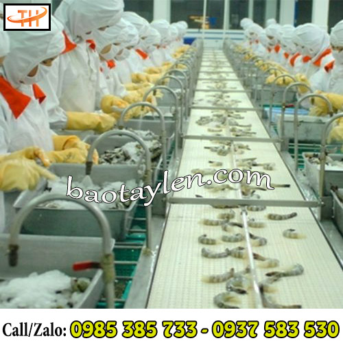 Găng tay cao su Đông Cầu Vồng mini trong nhiều ngành nghề Găng tay cao su Đông Cầu Vồng mini trong nhiều ngành nghề
