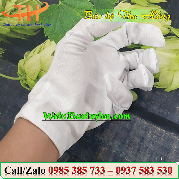 “Bao tay thun T9”