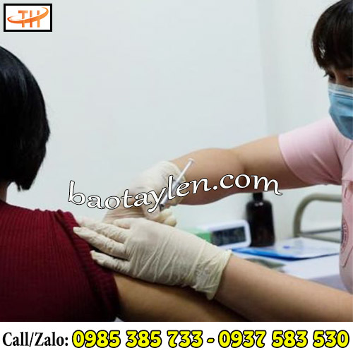 Găng tay y tế VGlove không bột được dùng dùng phổ biến trong lĩnh vực y tế Găng tay y tế VGlove không bột được dùng dùng phổ biến trong lĩnh vực y tế