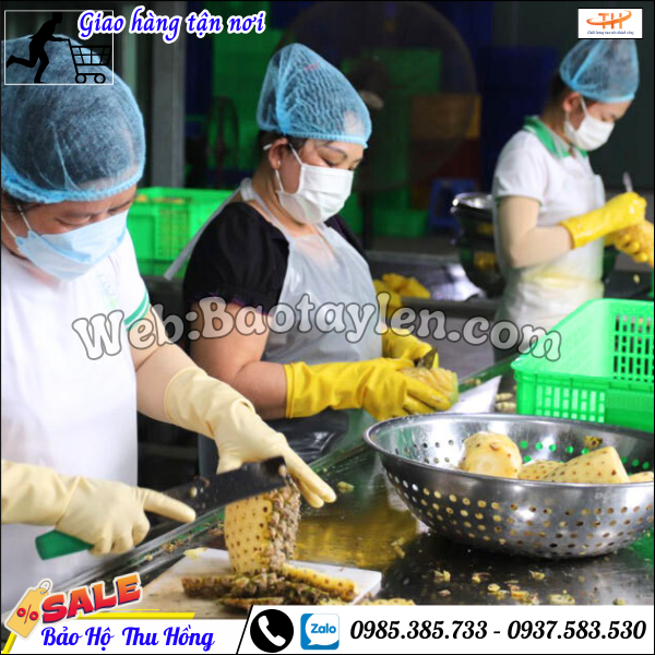 Găng tay cao su chế biến thực phẩm giá rẻ. Găng tay cao su chế biến thực phẩm giá rẻ.