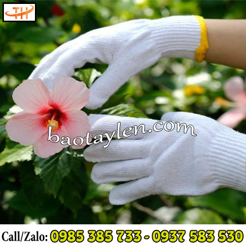 Găng tay poly thông thoáng có thể sử dụng hằng ngày Găng tay poly thông thoáng có thể sử dụng hằng ngày