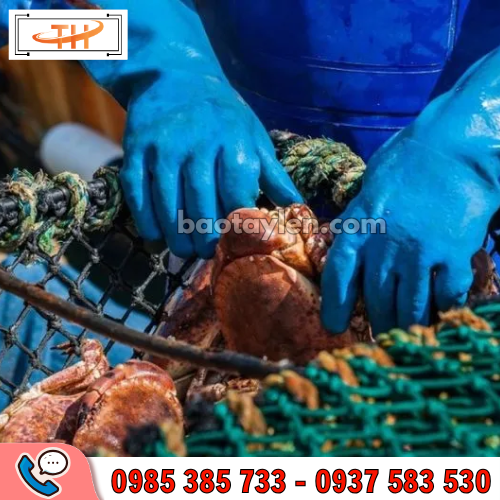 Găng tay gia dụng Nam Long xanh dương được ứng dụng nhiều hằng ngày Găng tay gia dụng Nam Long xanh dương được ứng dụng nhiều hằng ngày