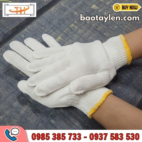 Bao tay len poly Bao tay len poly