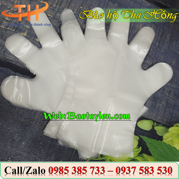 >>Địa chỉ mua bao tay nilon giá rẻ nhất TpHCM<< >>Địa chỉ mua bao tay nilon giá rẻ nhất TpHCM<<