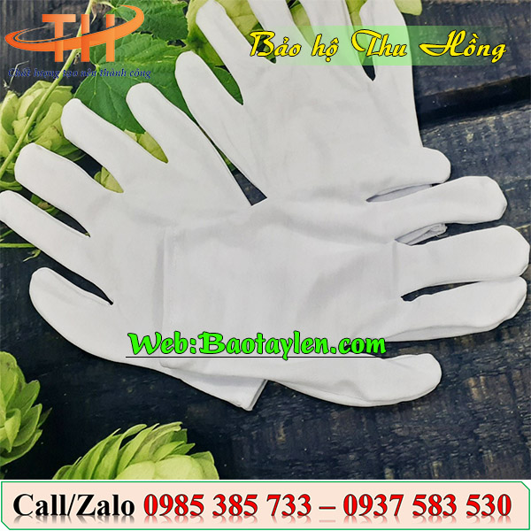 >Địa chỉ mua găng tay vải cotton trắng giá rẻ<