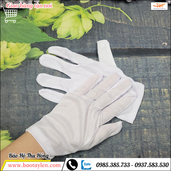 Bao tay vải thun T10 trắng  Bao tay vải thun T10 trắng