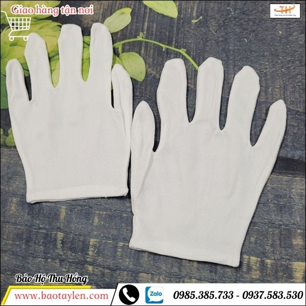 Bao tay vải thun L+2 Bao tay vải thun L+2