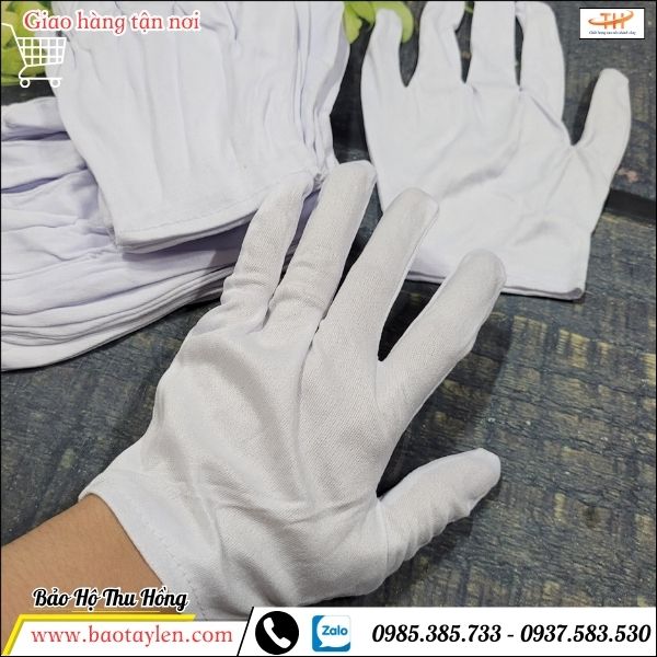 Bao tay vải thun L+2 sẵn sỉ rẻ  Bao tay vải thun L+2 sẵn sỉ rẻ