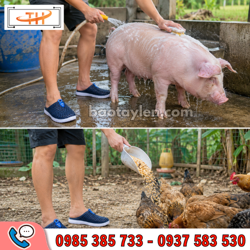 Dép sục tổ ong dễ chịu khi mang cả ngày Dép sục tổ ong dễ chịu khi mang cả ngày