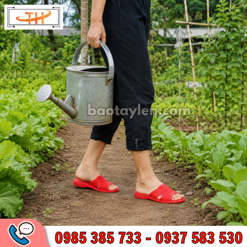 Dép tổ ong màu đỏ thoáng chân, dễ vệ sinh khi mang Dép tổ ong màu đỏ thoáng chân, dễ vệ sinh khi mang
