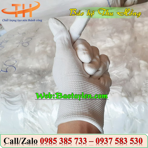 >Địa chỉ phân phối găng tay chống tĩnh điện giá rẻ< >Địa chỉ phân phối găng tay chống tĩnh điện giá rẻ<