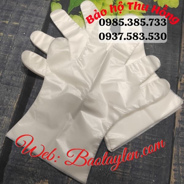 Địa chỉ cung cấp găng tay nilon dùng 1 lần giá sỉ rẻ nhất. Địa chỉ cung cấp găng tay nilon dùng 1 lần giá sỉ rẻ nhất.